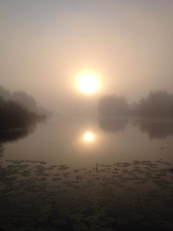 Studio Lakeside Spiegelplas Nederhorst den Berg Rom bilde