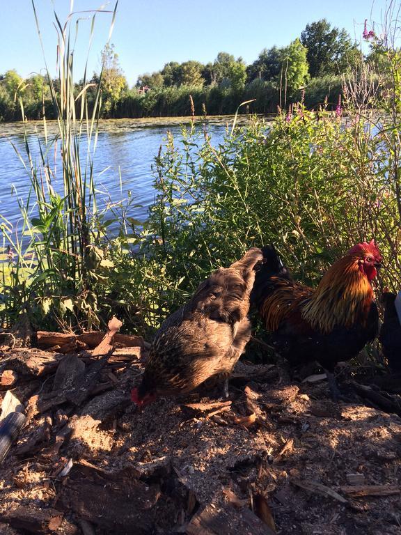 Studio Lakeside Spiegelplas Nederhorst den Berg Eksteriør bilde