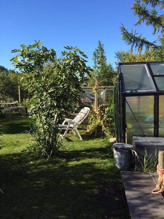 Studio Lakeside Spiegelplas Nederhorst den Berg Eksteriør bilde