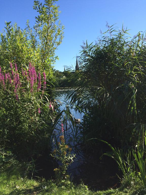 Studio Lakeside Spiegelplas Nederhorst den Berg Eksteriør bilde