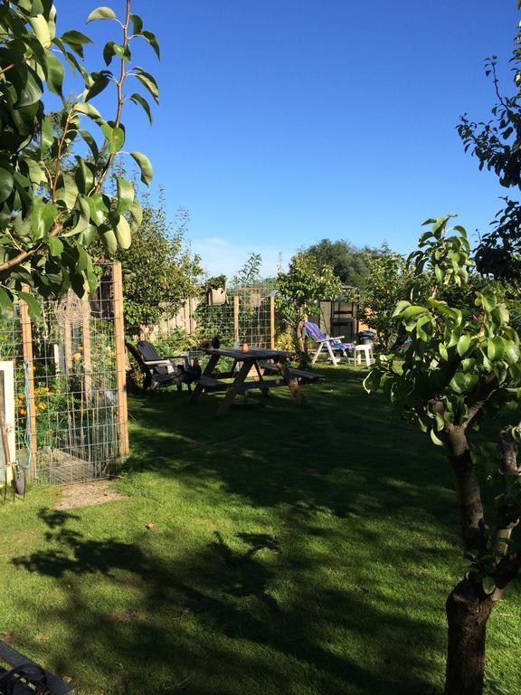 Studio Lakeside Spiegelplas Nederhorst den Berg Eksteriør bilde